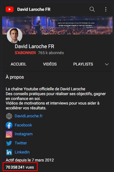 David Laroche nombre de vues sur sa chaine YouTube
